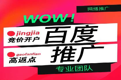 百度竞价排名：企业营销新利器案例分析